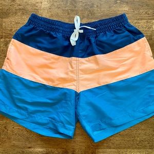 Chubbies Swim Trunks - The Triple Deckers